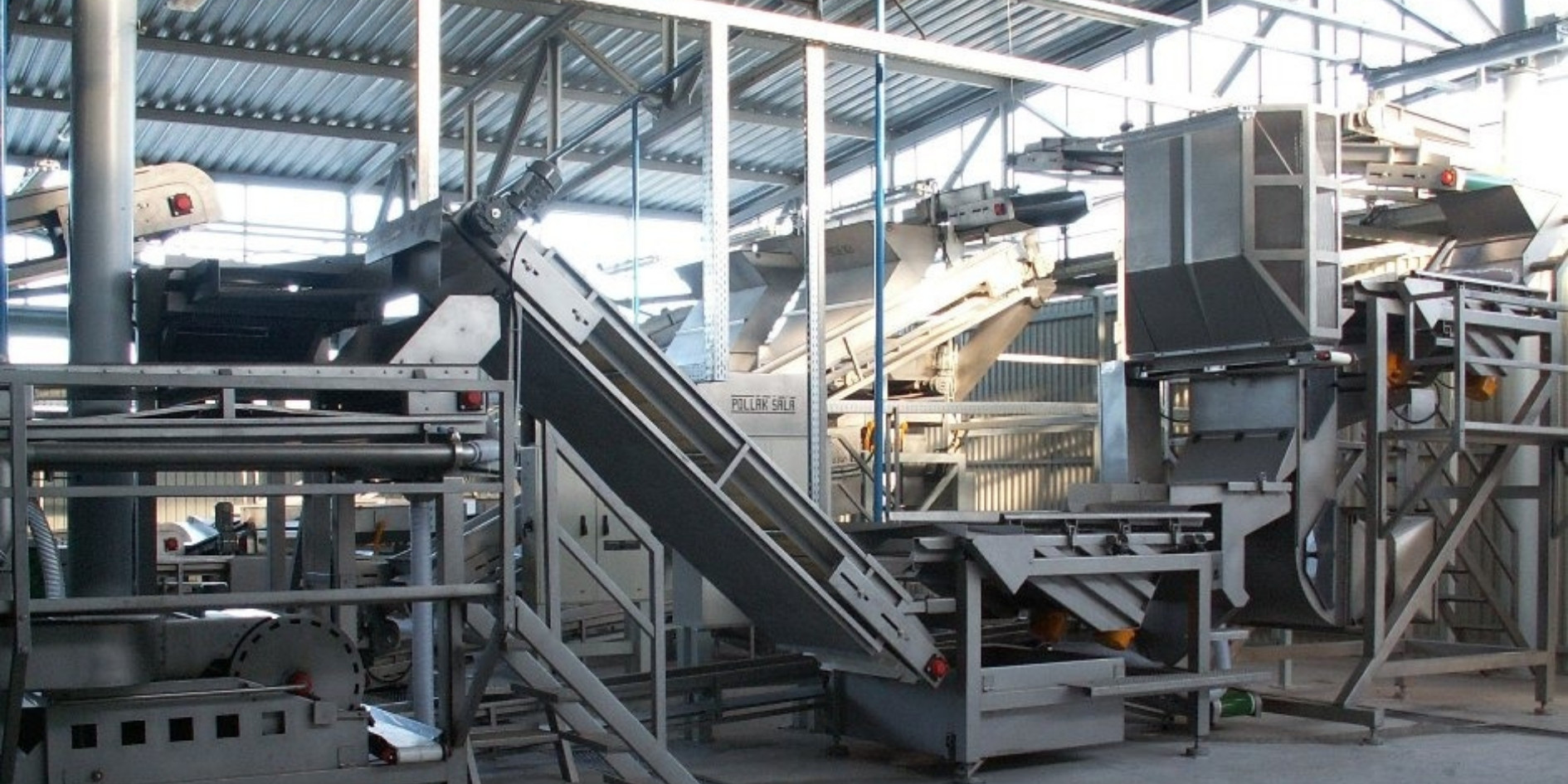 Premium IQF Frozen Fruits & Vegetables